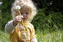 Blog Carnival: Protecting Children from Toxins in the Great Outdoors