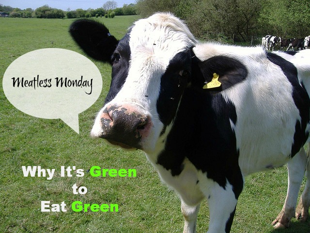 Meatless Monday: why it’s green to eat green