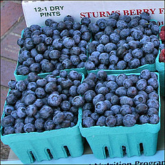 organic wild blueberries