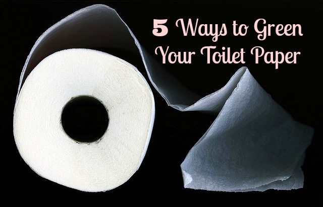 5 Ways to Green Your Toilet Paper
