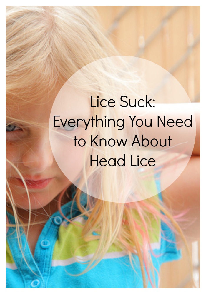 Everything You Need to Know About Head Lice