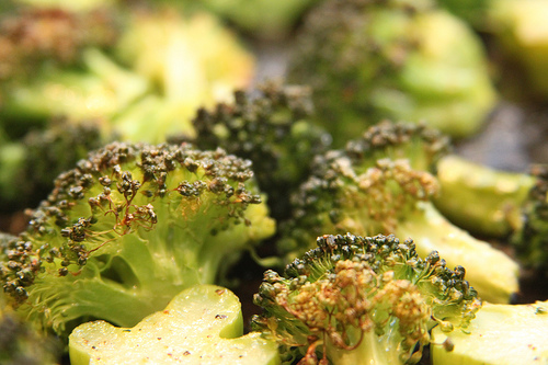 roasted organic broccoli