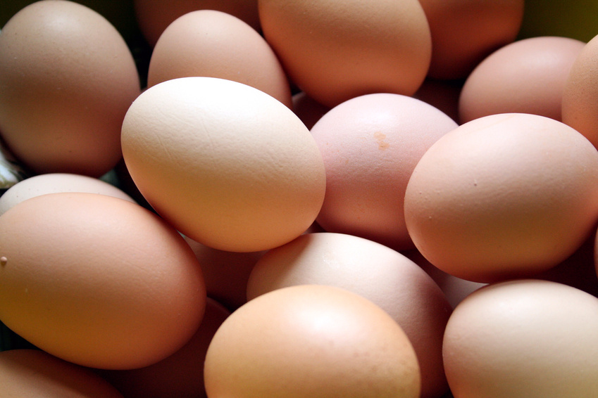 Eggsperiment:  CSA Eggs vs. Organic Store Bought Eggs