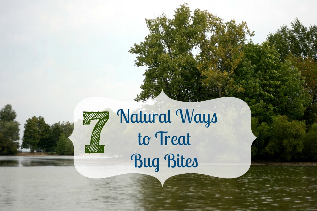 7 Natural Ways to Treat Bug Bites
