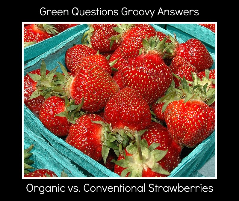 Groovy Green Livin Organic strawberries