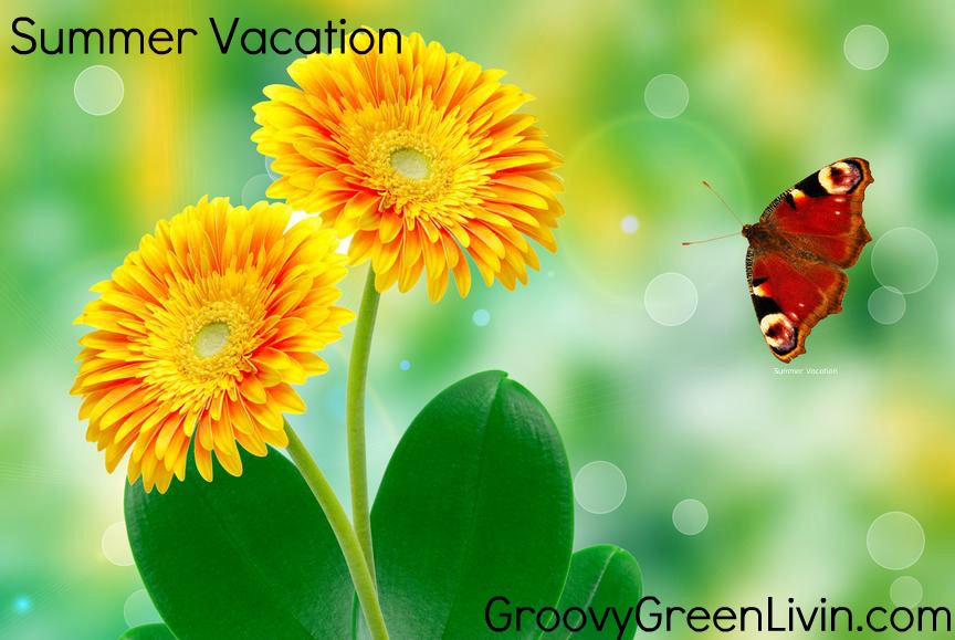 Groovy Green Livin summer green and yellow flower butterfly