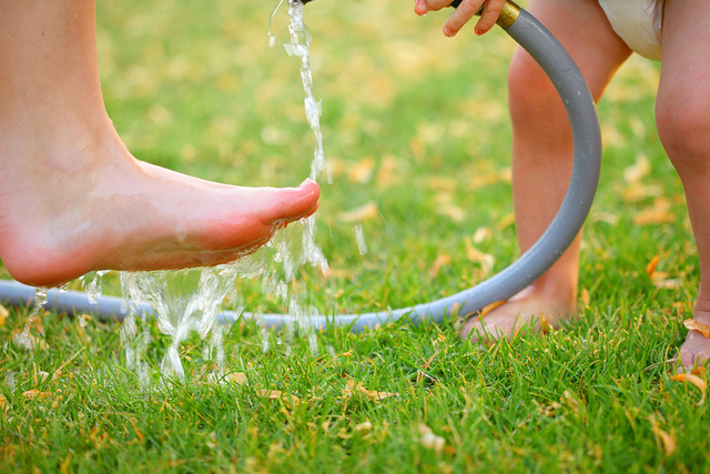 8 Tips to Save Water This Summer