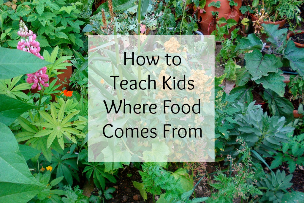 Teaching Kids Where Food Comes From