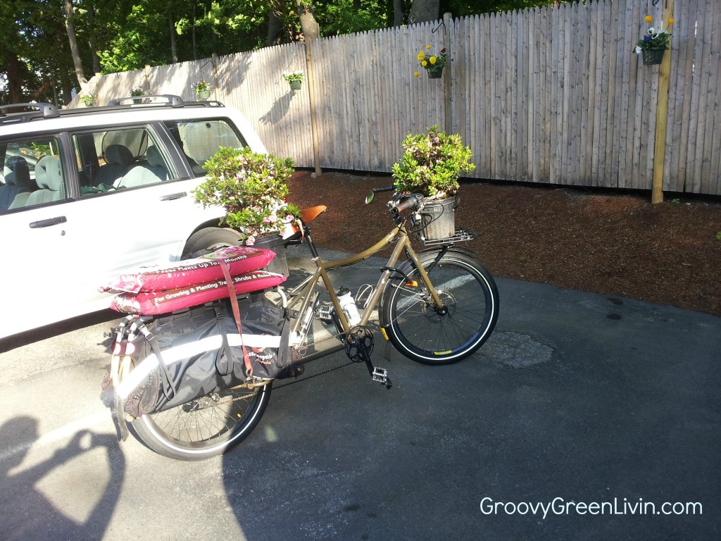 Groovy Green Livin bicycle for gardening