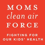 Groovy Green Livin moms clean air force