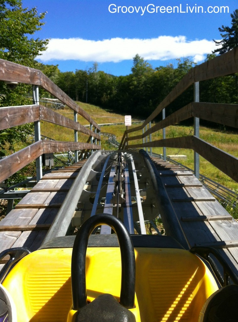 Groovy Green Livin roller coaster