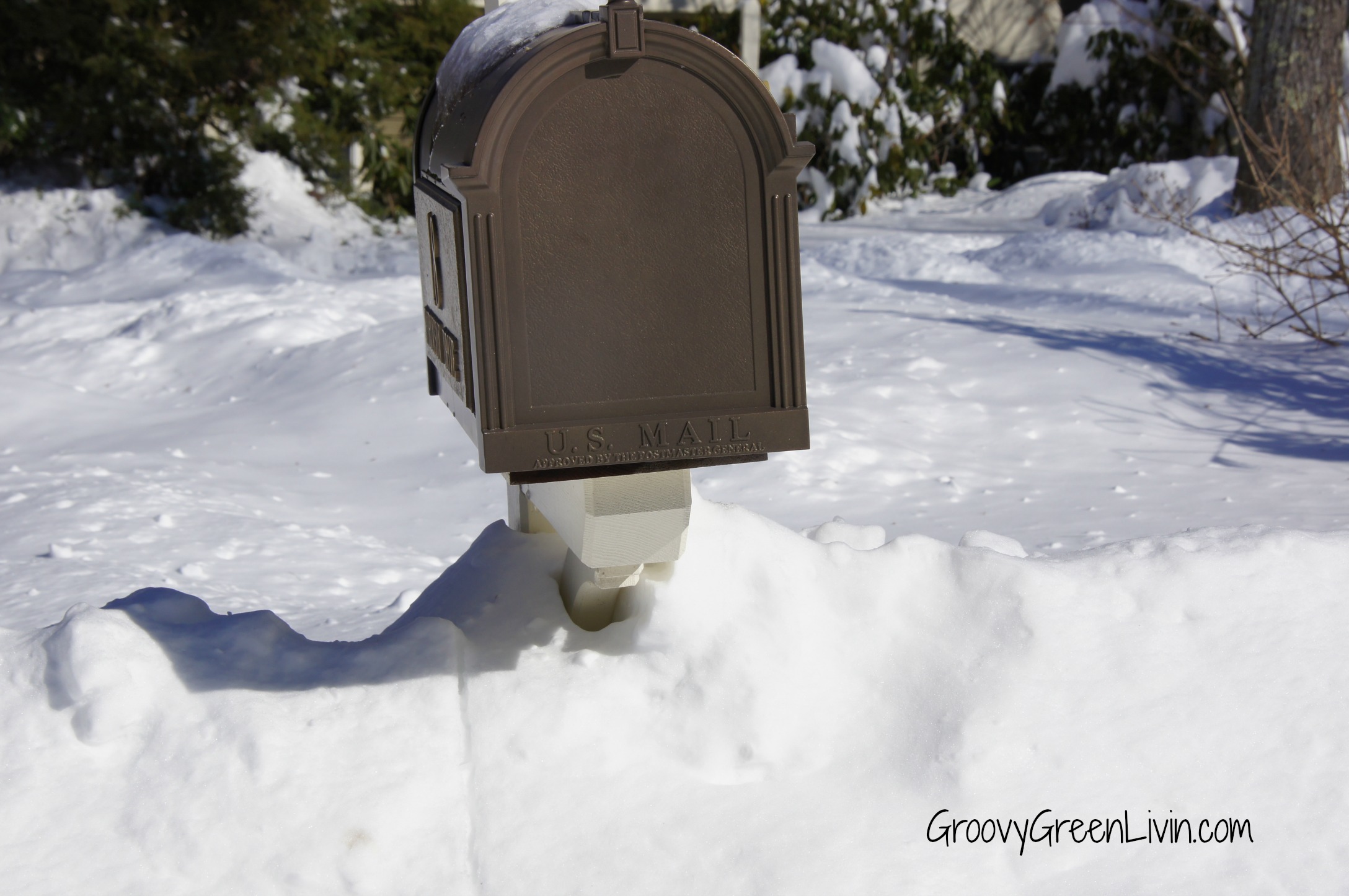 Groovy Green Livin snow mailbox