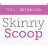 Groovy Green Livin Top 25 Green Blogs