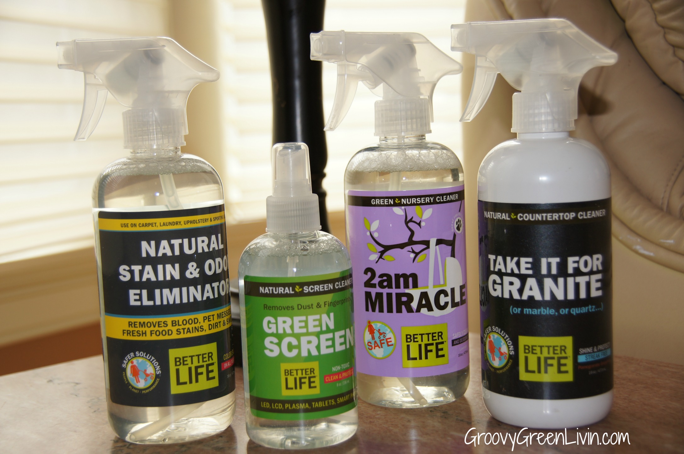 Better Life Non-Toxic Cleaning Products Rock!