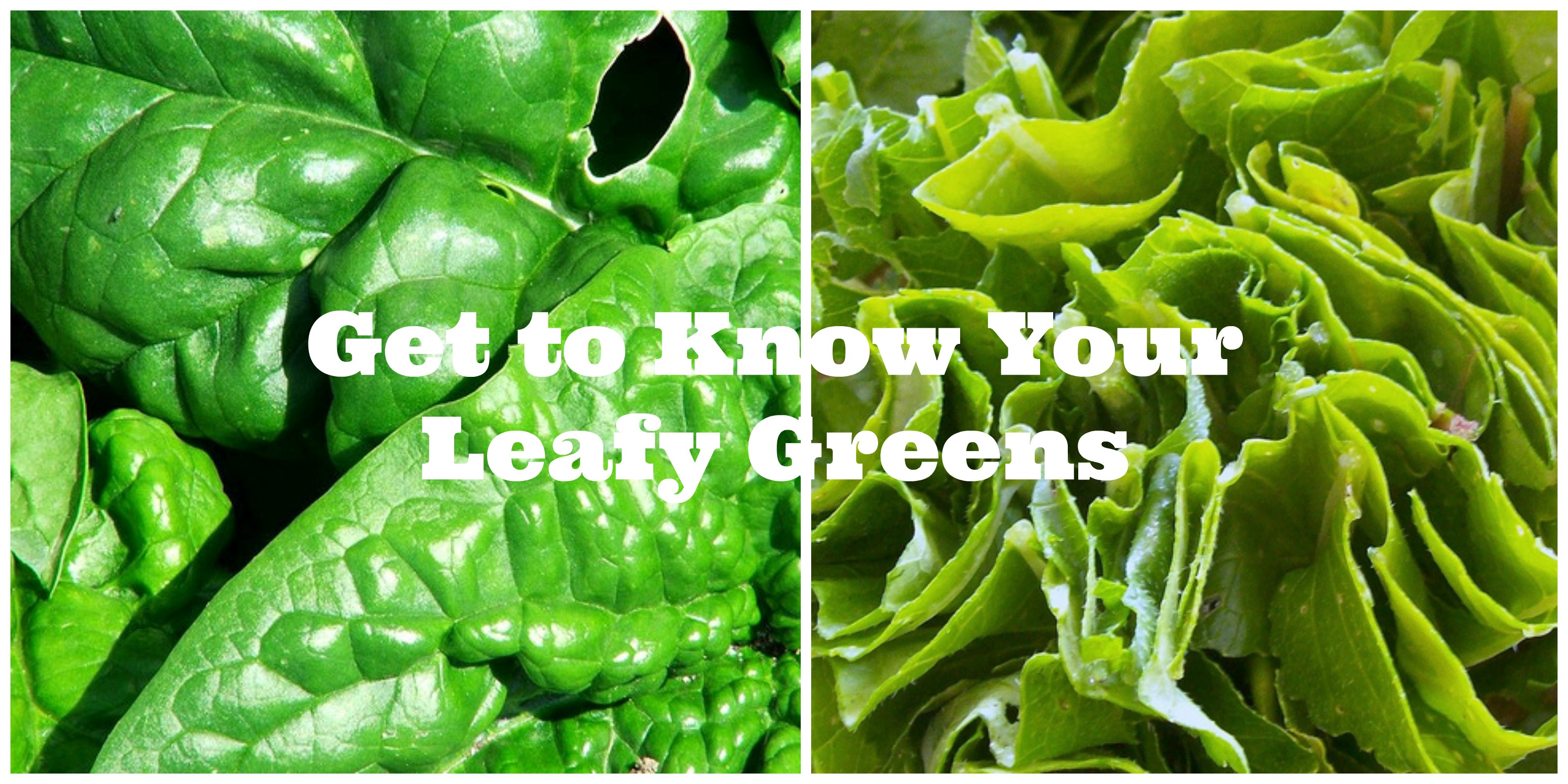 Get to Know Your Leafy Greens