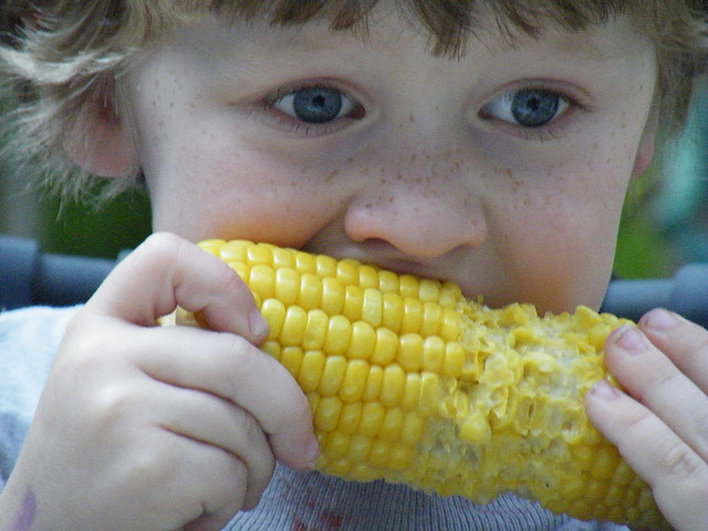 Why I’m Not So Crazy for Corn on the Cob
