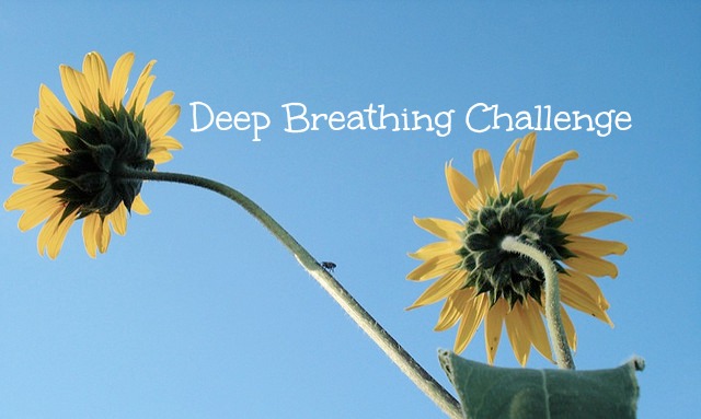 Join Me for a Deep Breathing Challenge