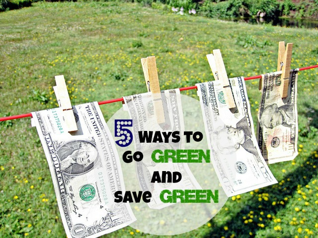 5 Ways to Go Green and Save Green (VIDEO)