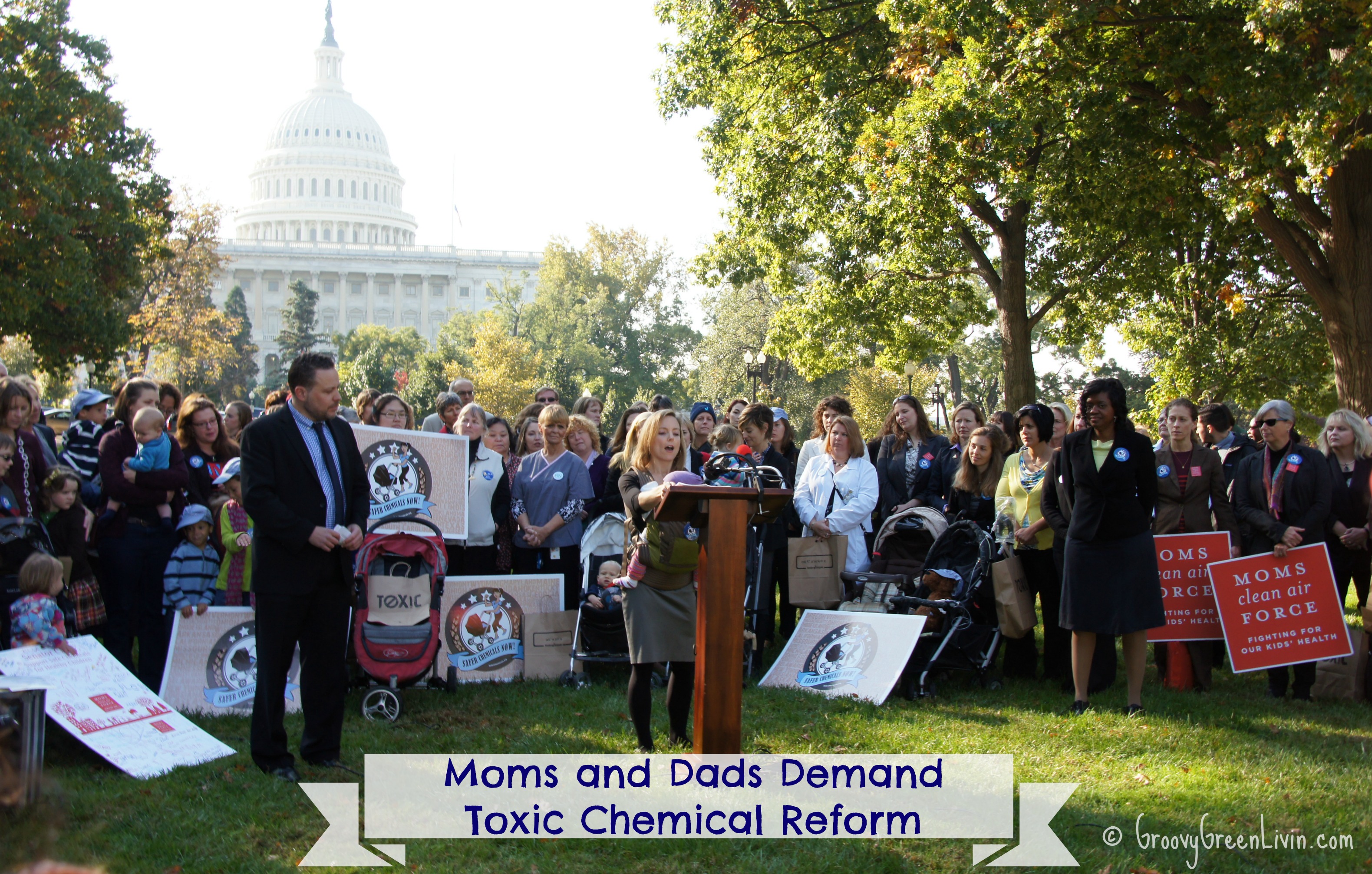 Groovy Green Livin Moms and Dads Demand Toxic Chemical Reform
