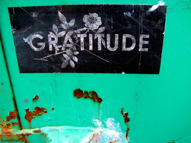 Groovy Green Livin gratitude