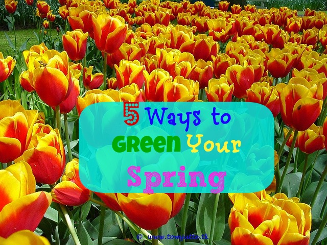 5 Ways to Green Your Spring