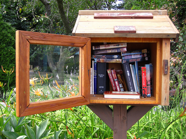Every Neighborhood Needs a Little Free Library