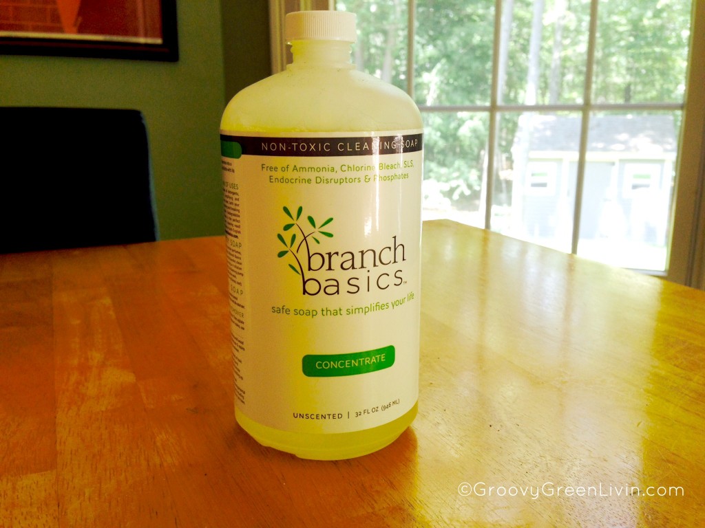Groovy Green Livin Green Cleaning Products