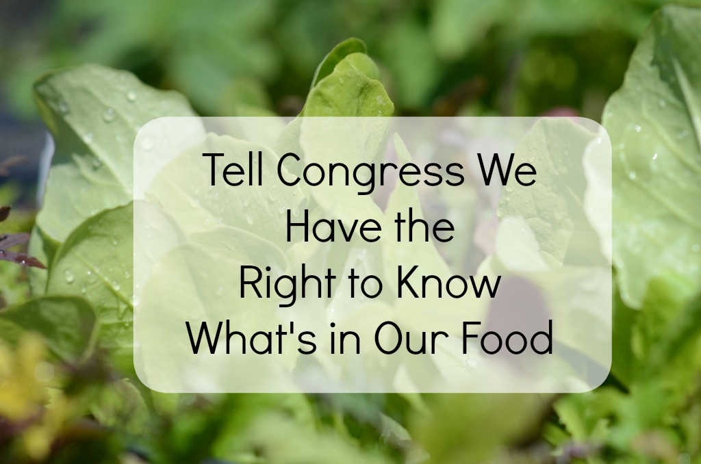 Tell Congress We Have the Right to Know What's in Our Food Groovy Green Livin