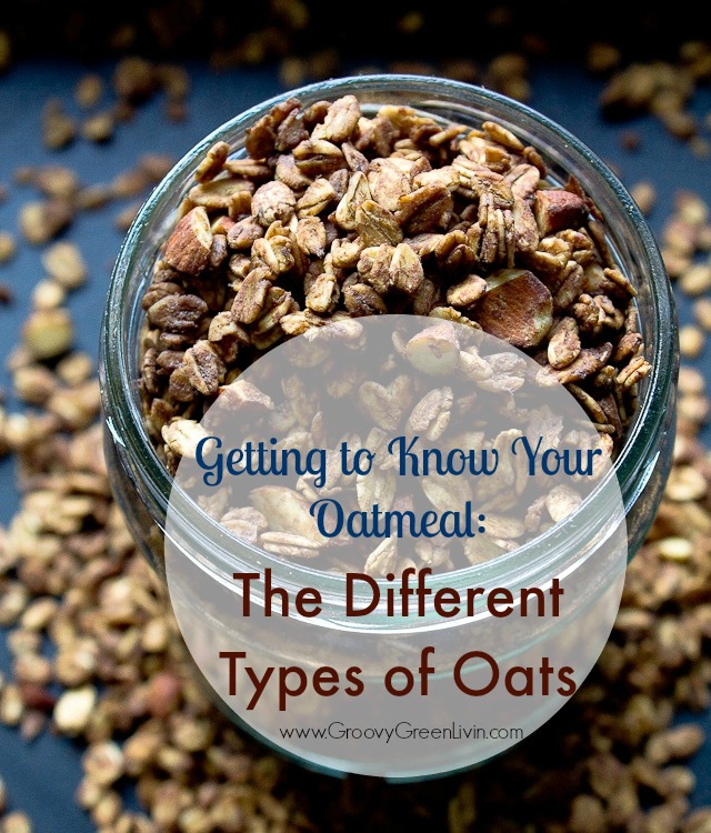 Getting to Know Your Oatmeal: The Different Types of Oats Groovy Green Livin