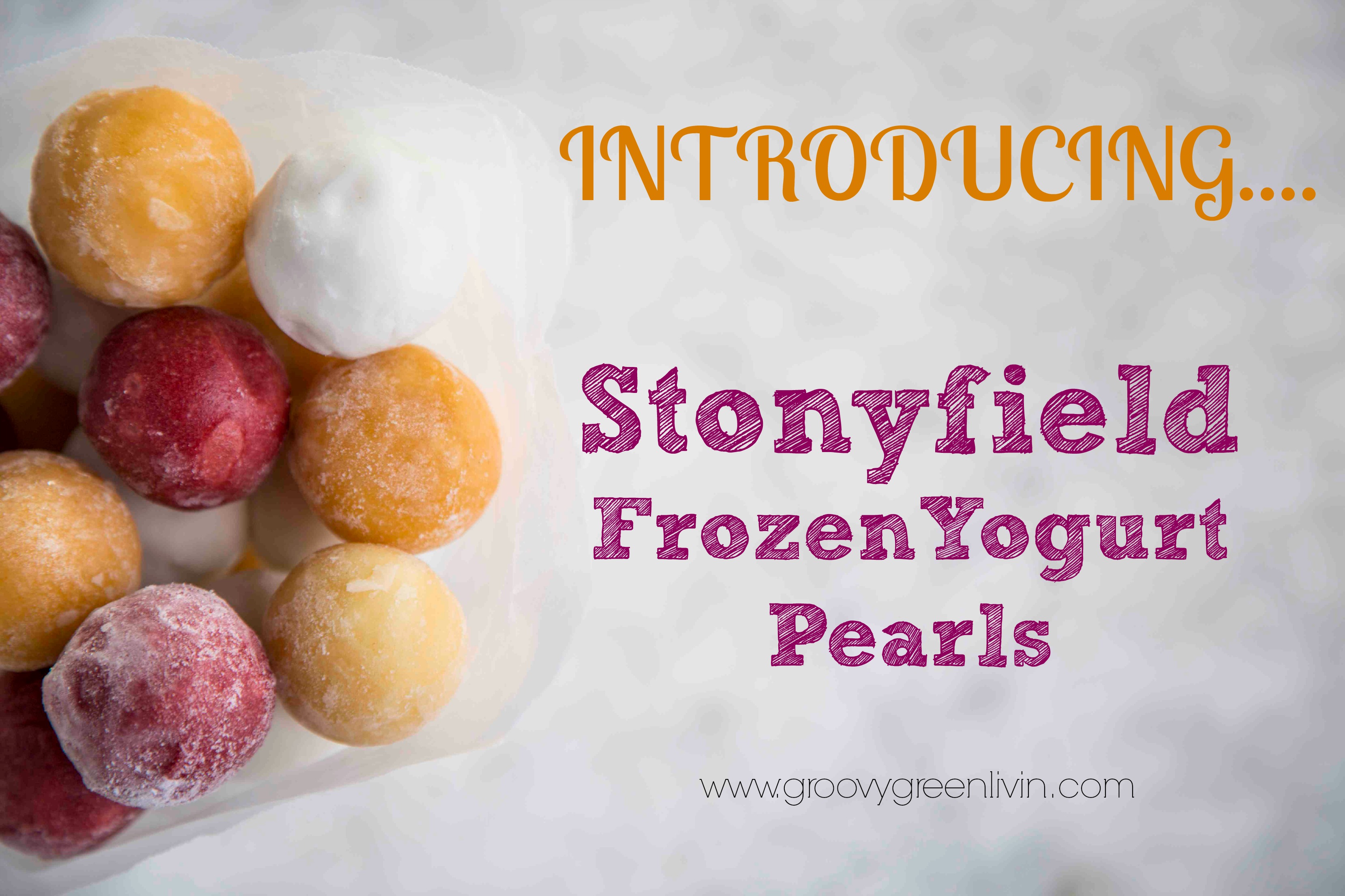 Stonyfield Frozen Yogurt Pearls Groovy Green Livin