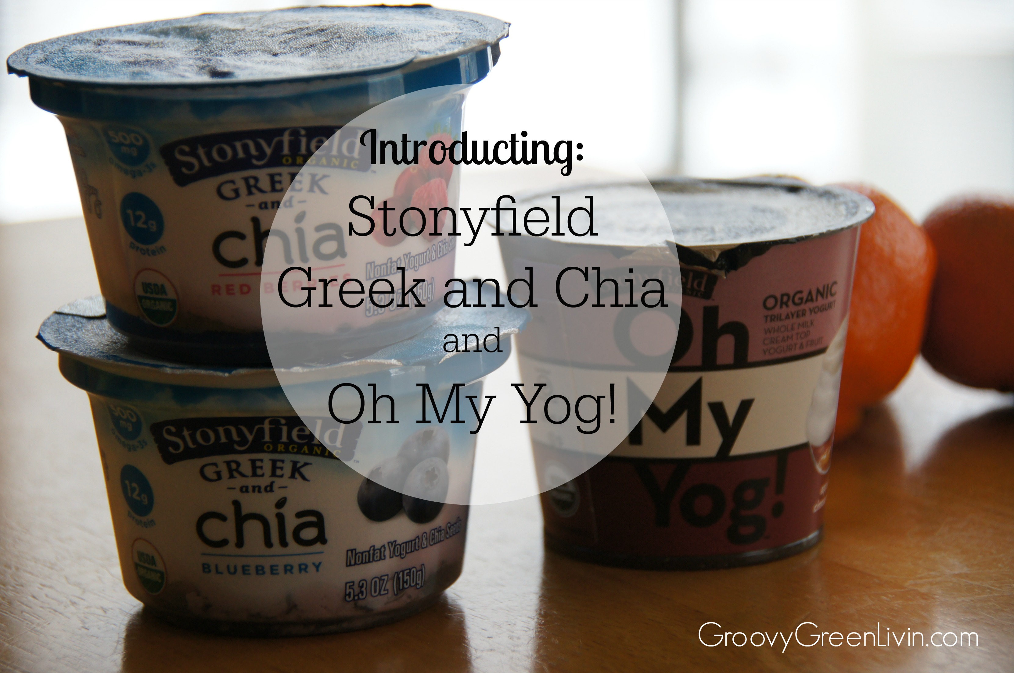 Stonyfield Greek and Chia and Oh My Yog! Groovy Green Livin