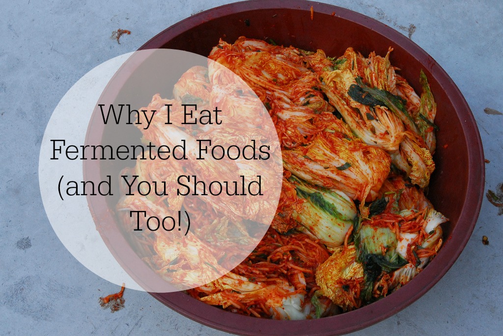 Why I Eat Fermented Foods (and You Should Too!)