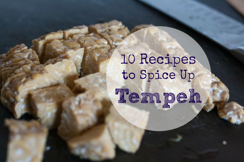 10 Recipes to Spice Up Tempeh