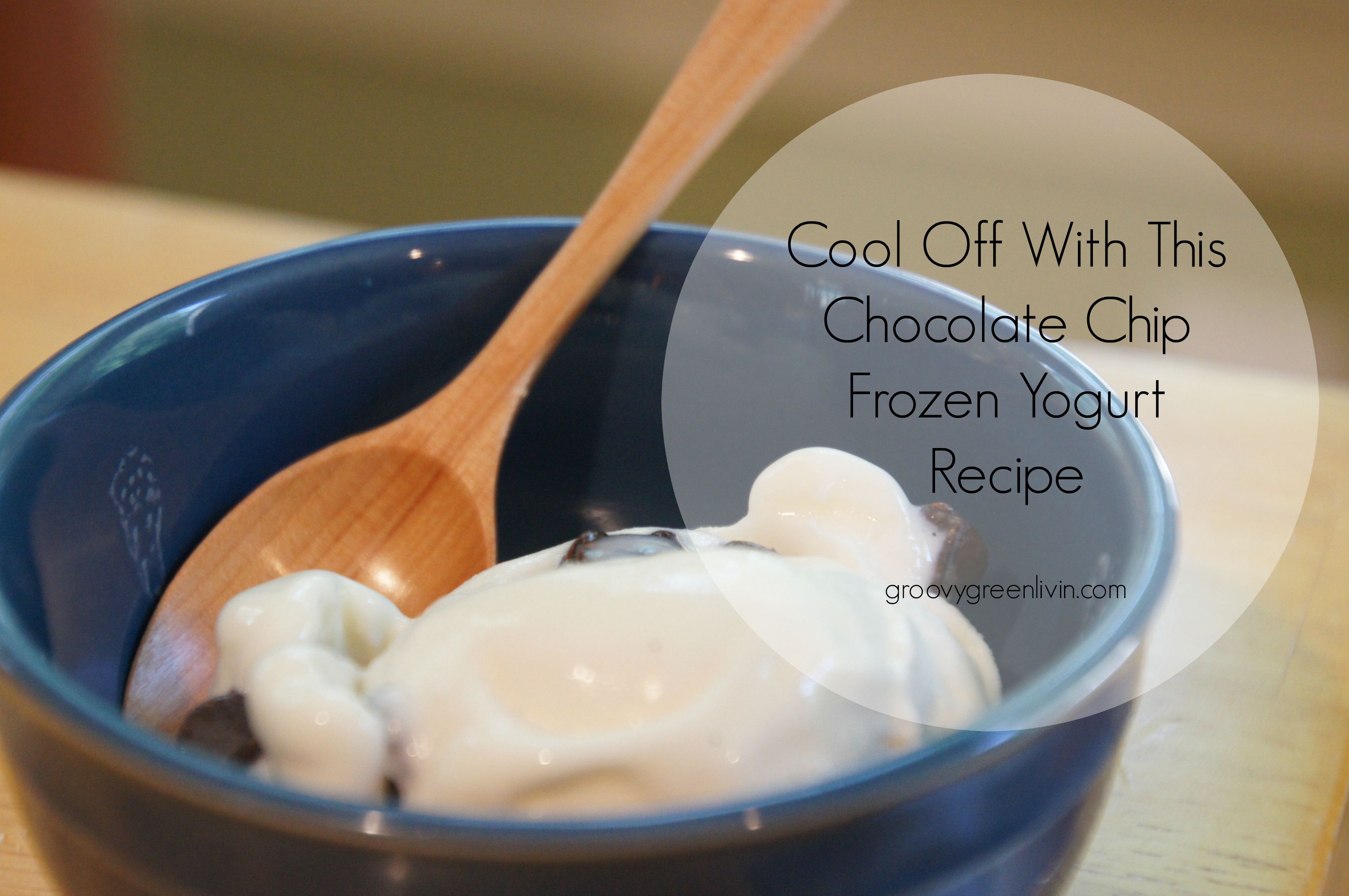 Cool Off With This Chocolate Chip Frozen Yogurt Recipe