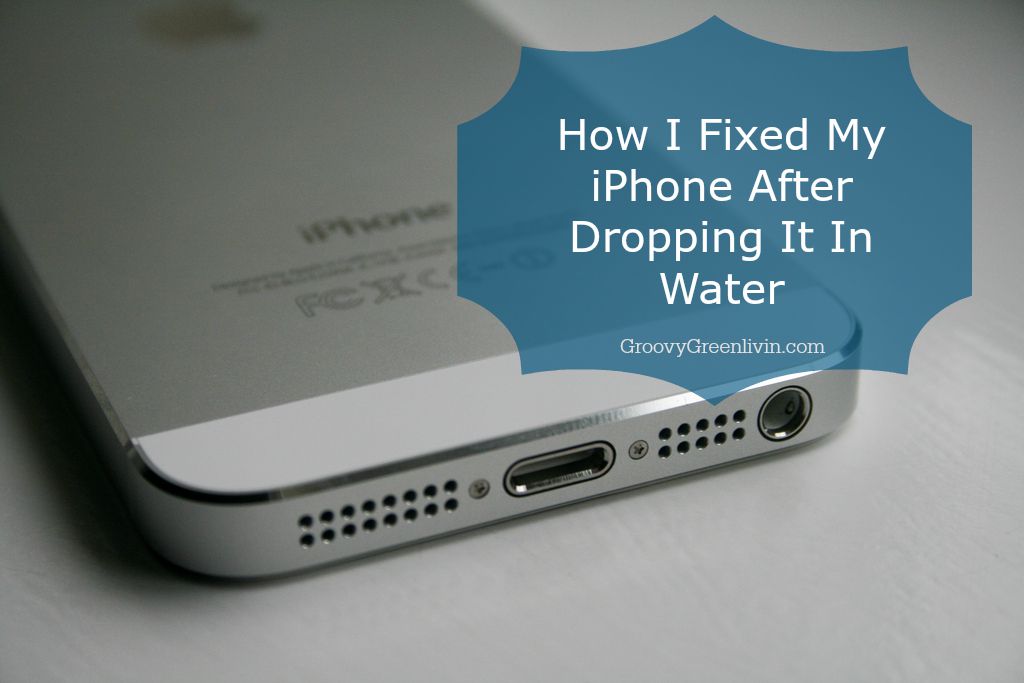 How I Fixed My iPhone After Dropping It In Water Groovy Green Livin