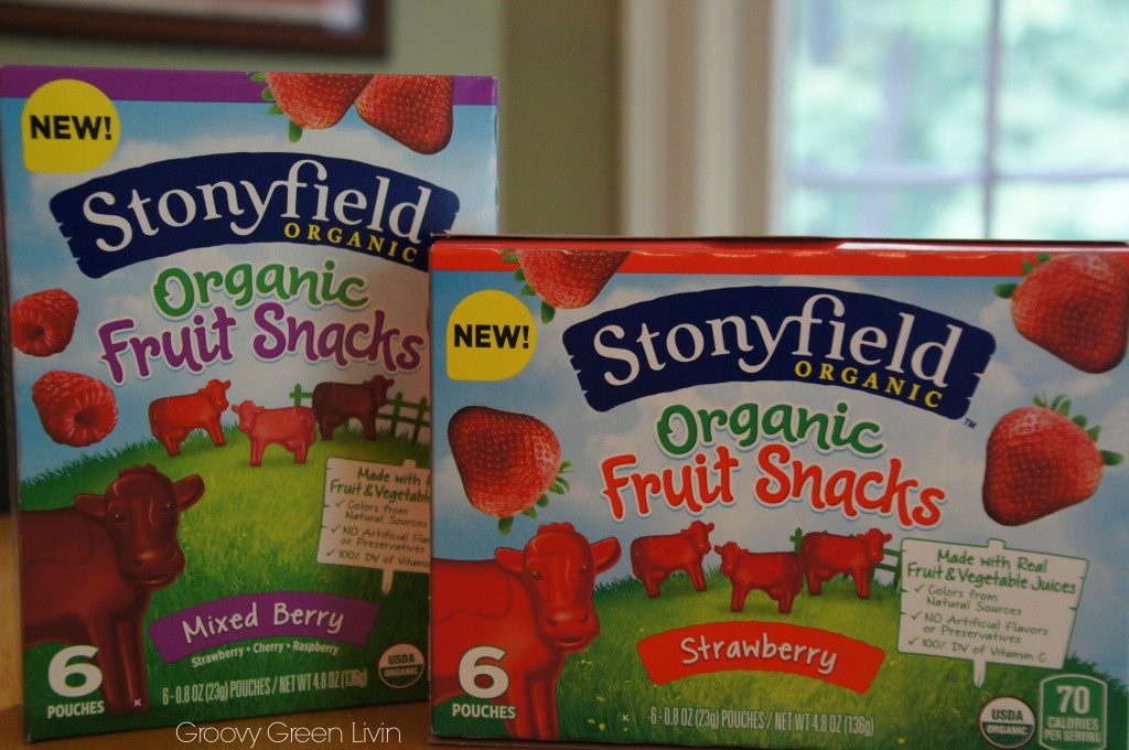 Stonyfield Organic Fruit Snacks Groovy Green Livin