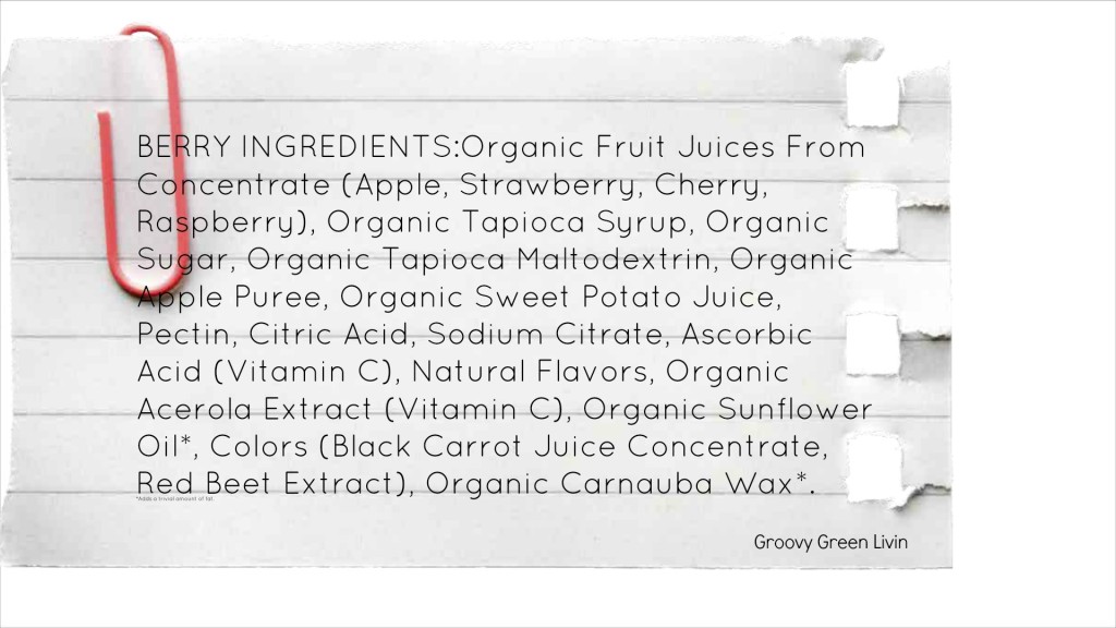 Stonyfield Organic Fruit Snacks Groovy Green Livin