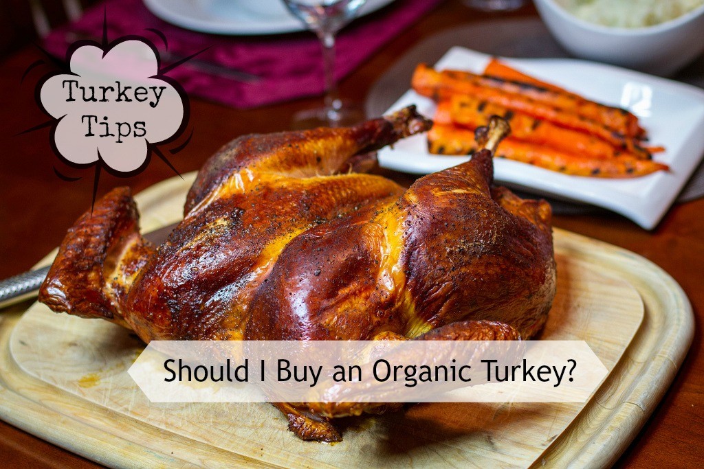 Turkey Tips Should I Buy An Organic Turkey Groovy Green Livin