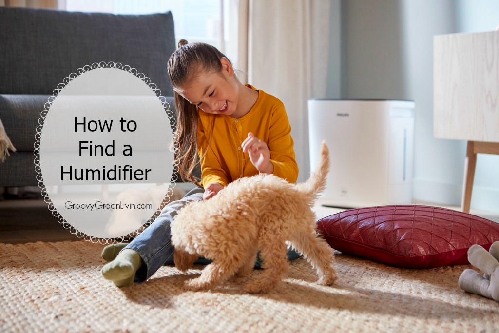 How to Find a Humidifier to Combat Indoor Air Pollution