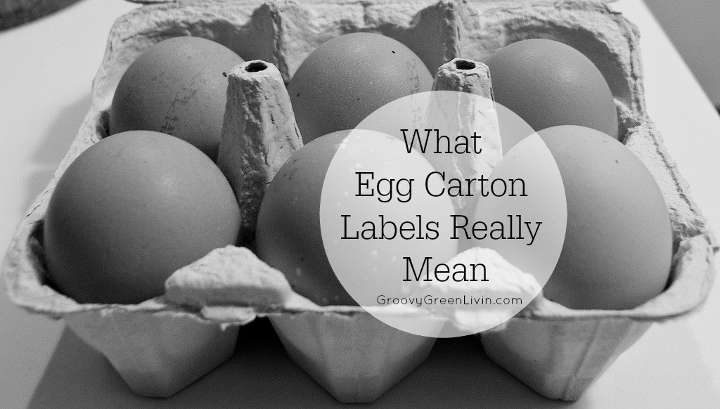 What Egg Carton Labels Really Mean Groovy Green Livin