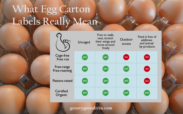 What Your Egg Carton Really Means Groovy Green Livin